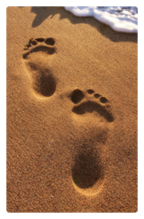 Footprints(Beach)